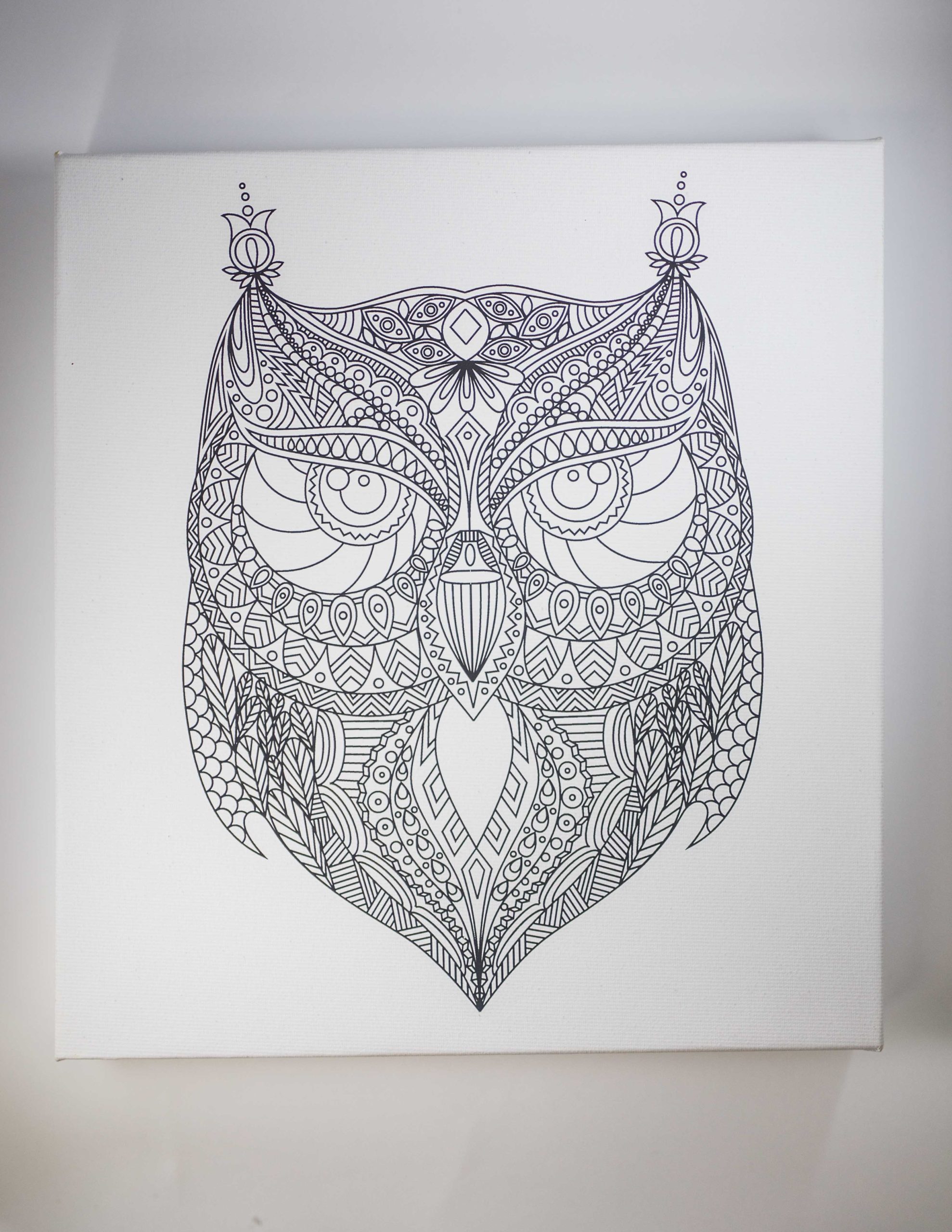 Owl Coloring Canvas | Wallflower Market