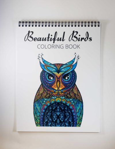 Front cover of a coloring book; the words Beautiful Birds Coloring Book at the top, and a colored in picture of a owl under that.