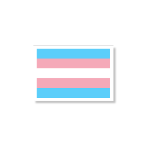 Transgender Pride Flag Sticker