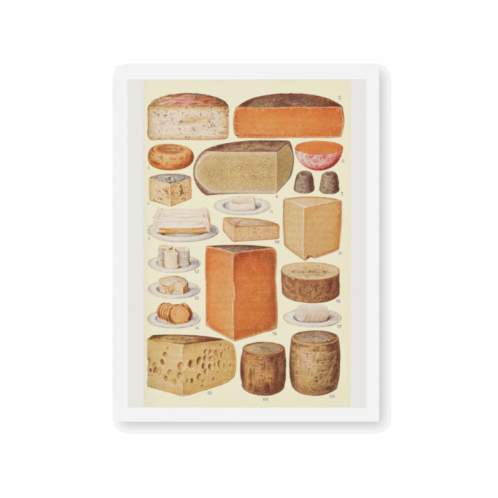 Vintage Cheese 8"x10" Print
