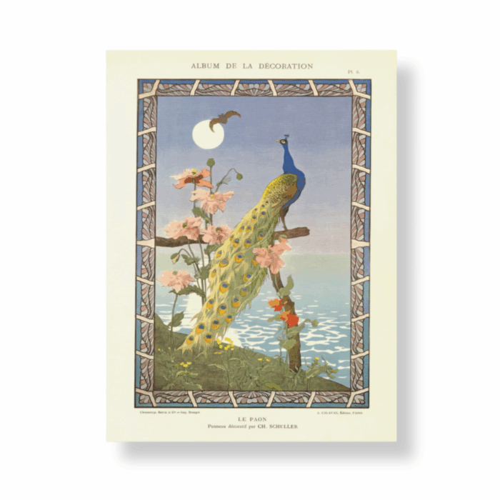 Vintage Peacock 8"x10" Print